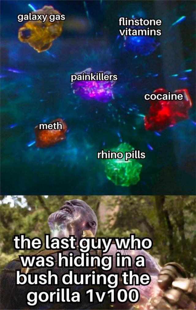 Dude hiding from the gorilla was on every drug combo known to man - meme