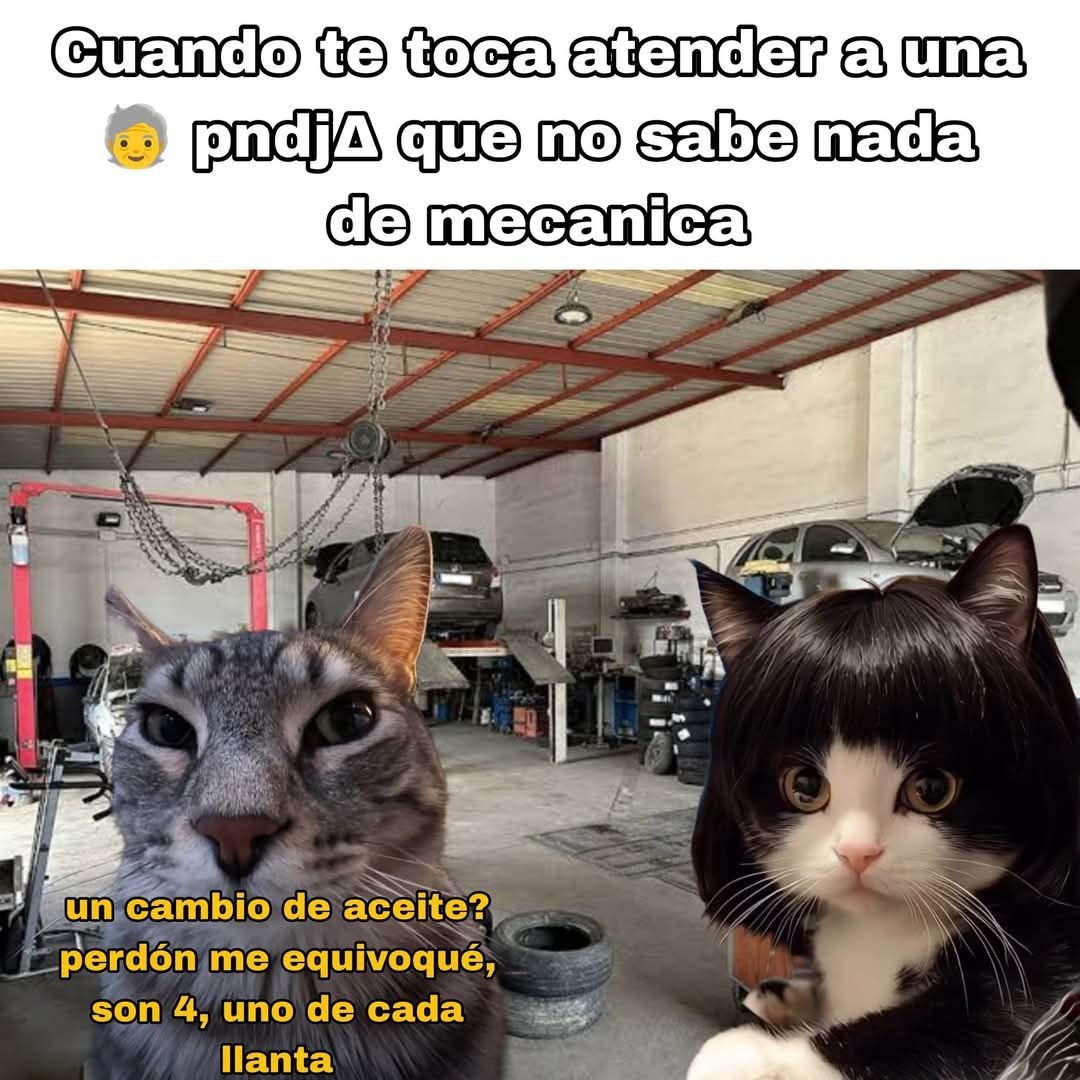 El mecánico novato preguntando si el cambio de aceite va en cada llanta - meme