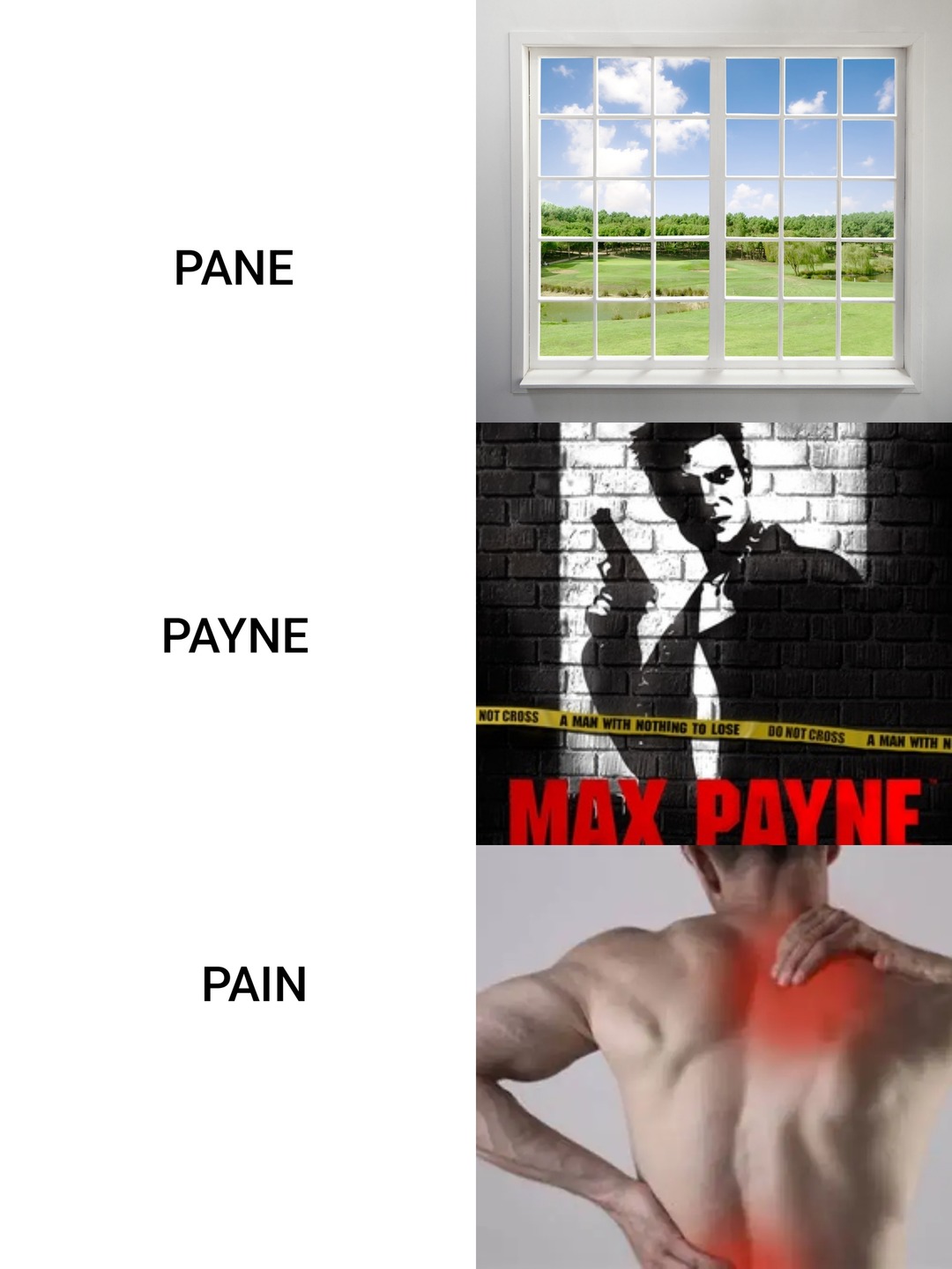 Payne.... - meme