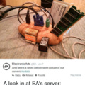Fuck EA