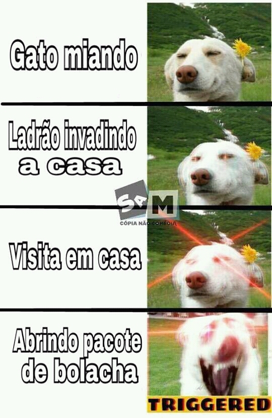 Visita - meme