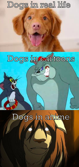 Dogs everywhere - meme