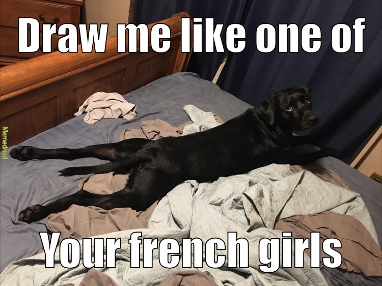 my dog is such a prima dona - meme