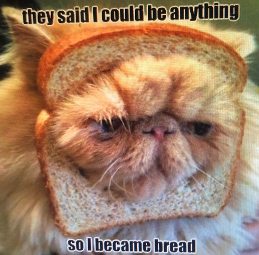 the bread bois - meme
