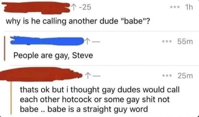 People are gay Steve - meme