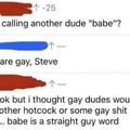 People are gay Steve
