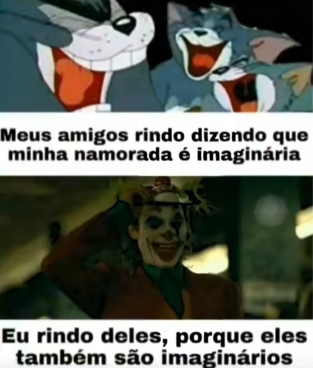 Esquizofrênico in a nutshell: - meme