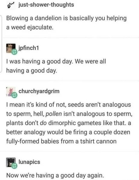 blowing a dandelion is like launching baby plants from a cannon - meme