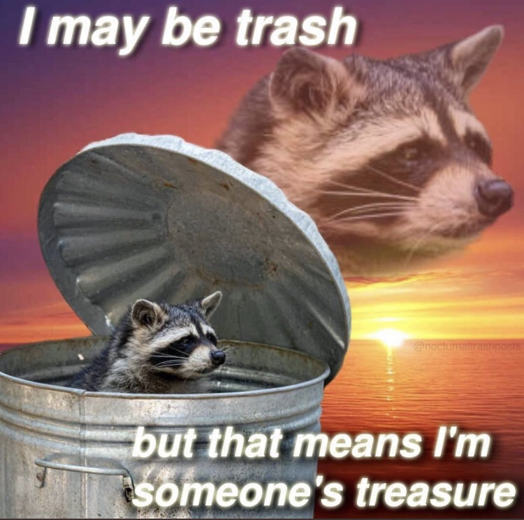 hey you, yes you, you’re my piece of trash - meme