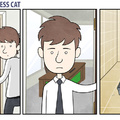 As aventuras do gato executivo