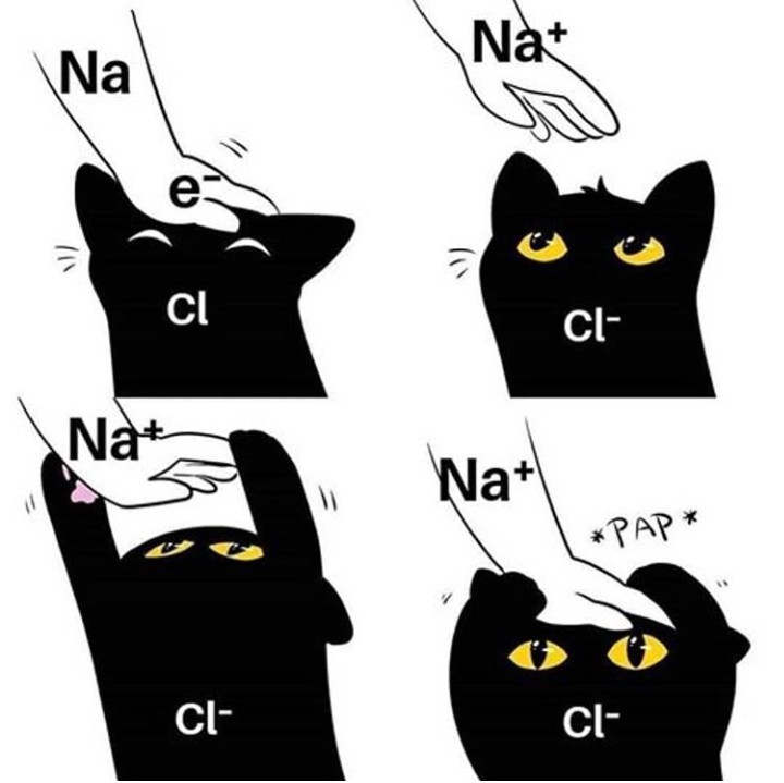 Science cat doin him a boop - meme