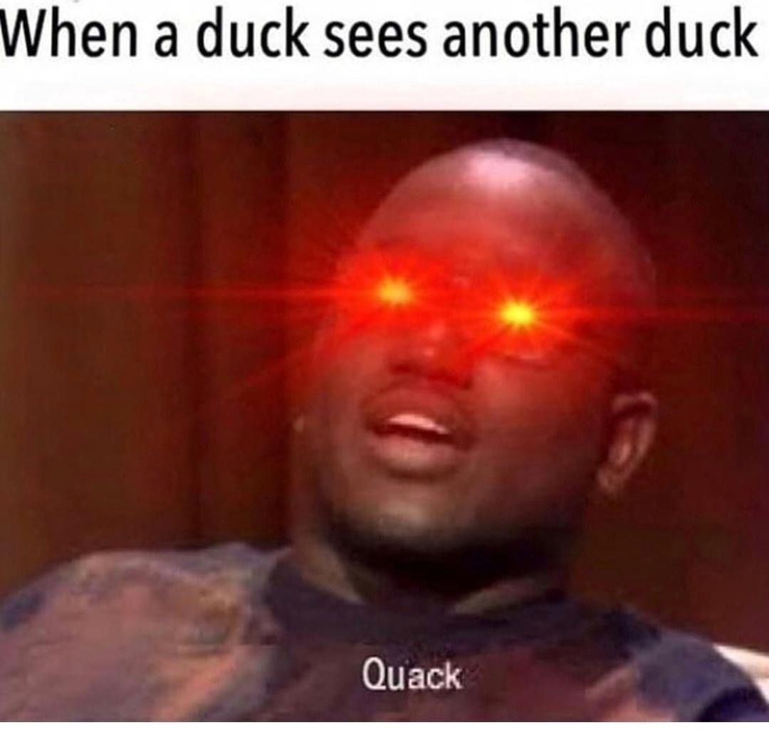 Duck Duck QUUUUAAACCCCKKKK - meme