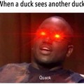 Duck Duck QUUUUAAACCCCKKKK