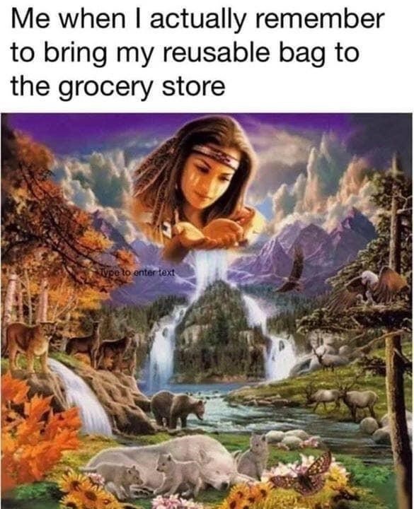 Reusable Bag Used Once - meme
