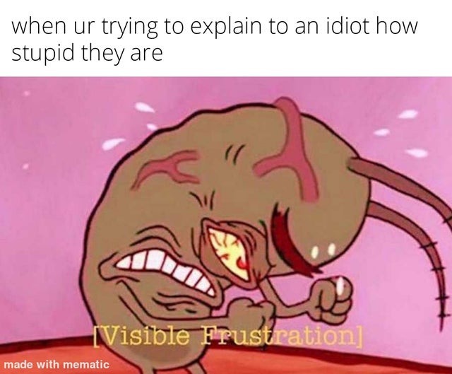 when you are trying to explain to an idiot how stupid they are - meme