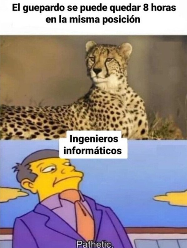Guepardos vs Informaticos - meme