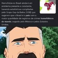 Infelizmente Brasil é um dos países que mais tem gays também....