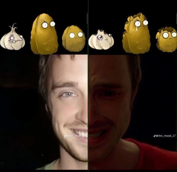 no bro :( - meme