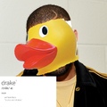 drake the duck