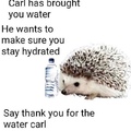 thanks Carl