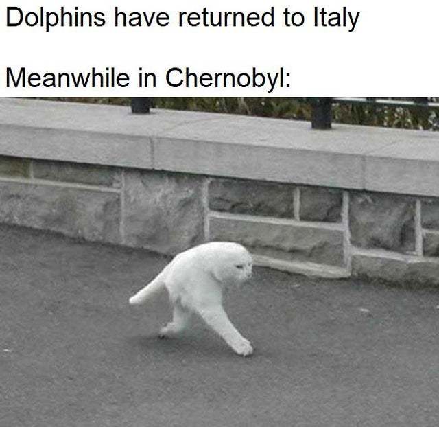 Meanwhile in Chernobyl - meme