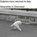 Meanwhile in Chernobyl
