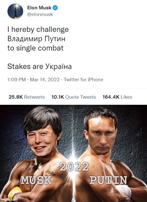 Musk vs Putin - meme