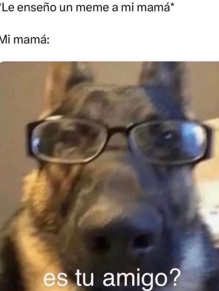 Perrito - meme
