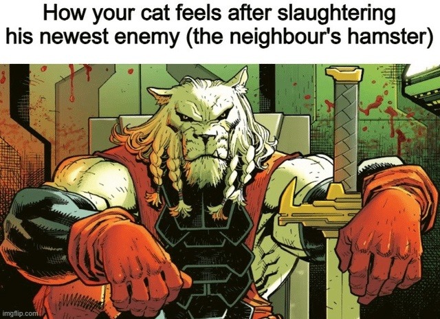 Your cat after taking out the neighbor’s hamster like a hitman - meme