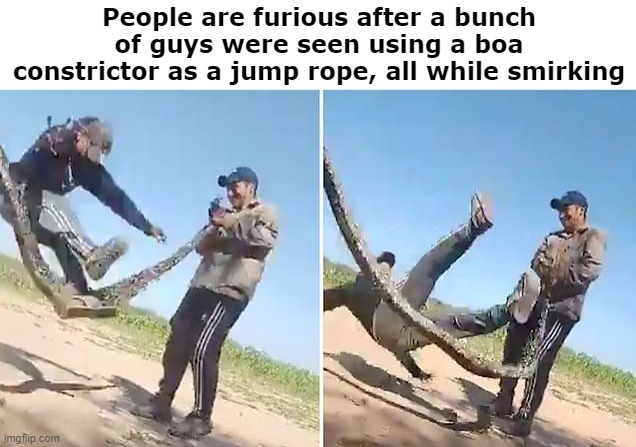 Boa constrictor skipping rope meme
