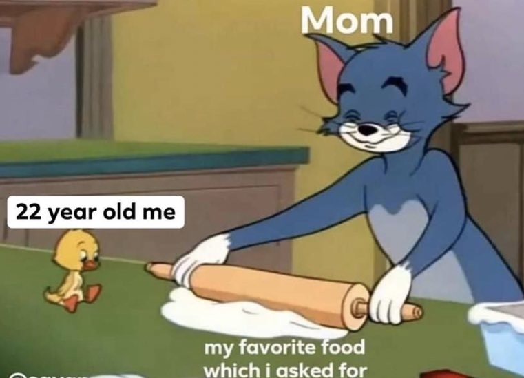she is the best - meme