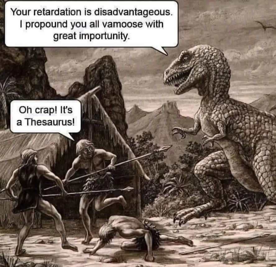 Thesaurus - meme