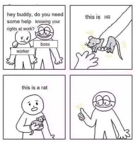 This rat just offered to help me with HR policies and now I’m listening - meme