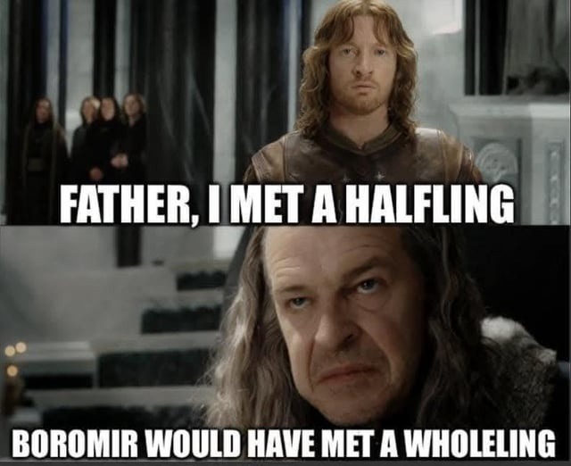 I met a halfling, father—Boromir would’ve met a wholeling - meme