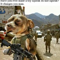 Sergeant Dog