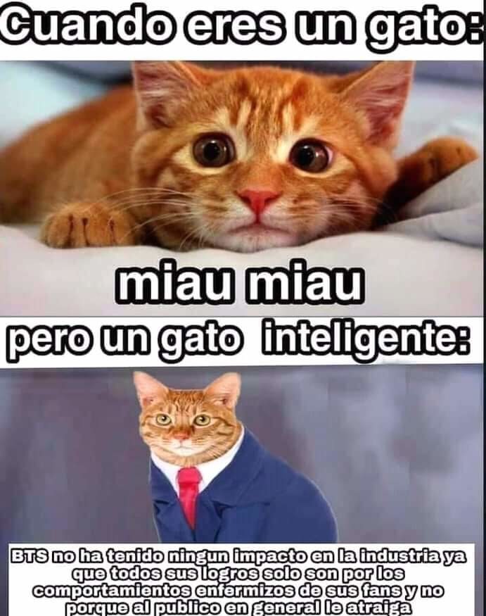 60f21fa321f63.jpeg