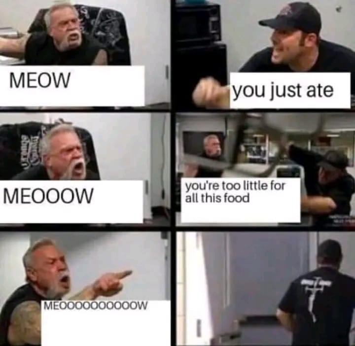 "Meow" feat. Meow (Meow Mix) - meme