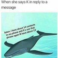 Whale shit