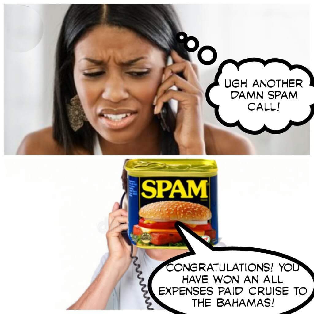 Fucking Spam - meme