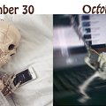 It's nearly spooky time boys! Bring your best spooky army!