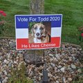 Voten por Todd, le gusta el queso