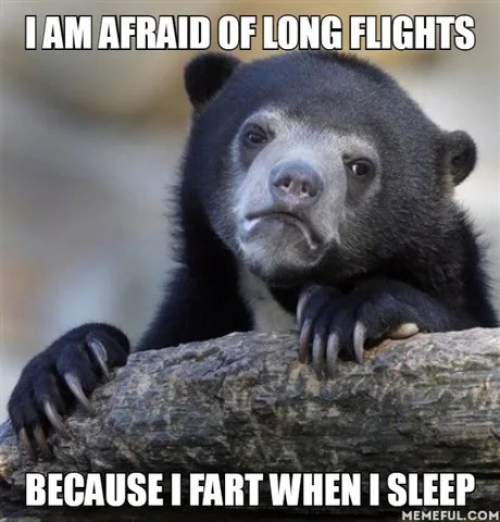 Afraid of long flights? - meme