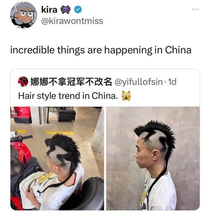 America is trying to ban TikTok, meanwhile, in China... - meme
