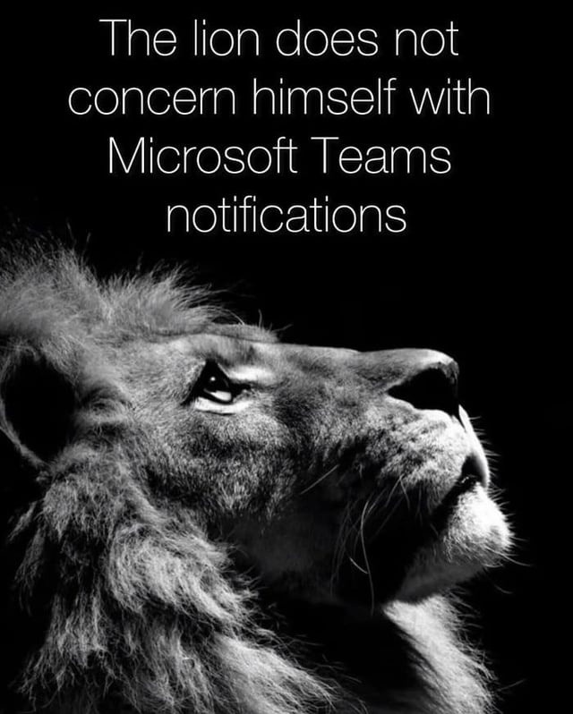 Lion doesn't check Teams. You shouldn't either - meme