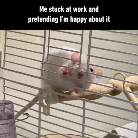 Me at work pretending I’m happy - meme