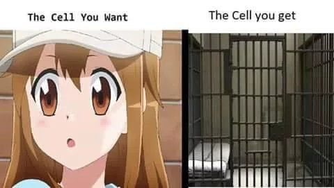 Lewding the cells puts you in hell - meme
