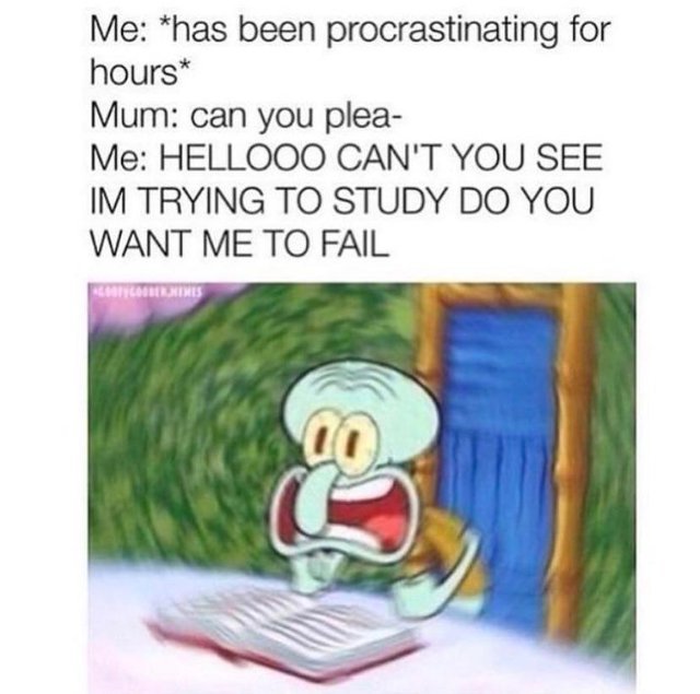 Procrastination time! - meme