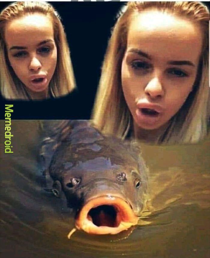 Boca de peixe. - meme