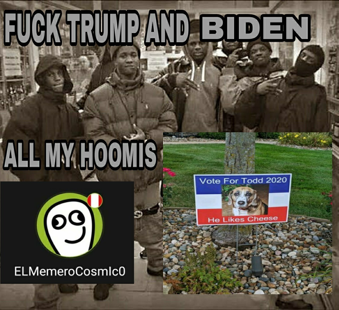 Vote for todd - meme