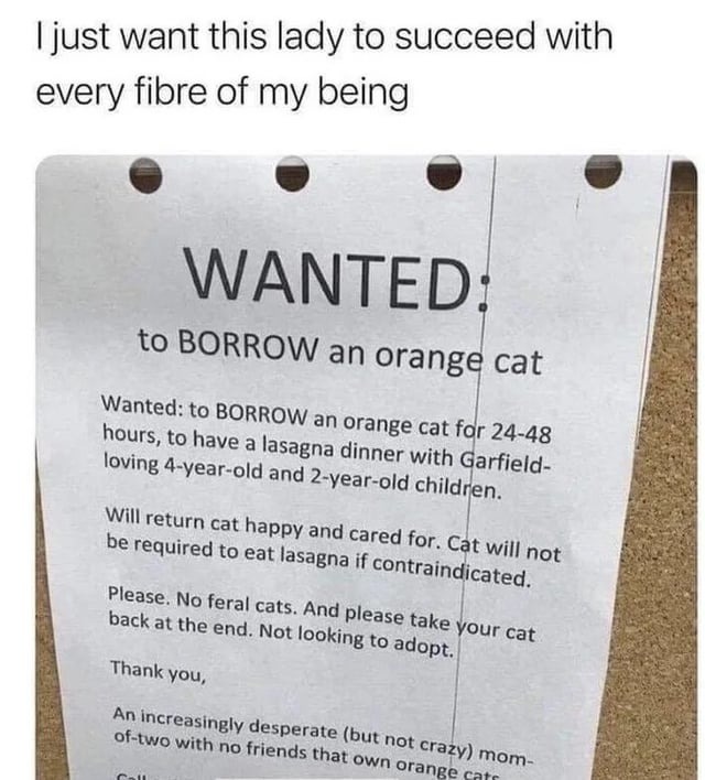 Get this woman an orange cat - meme
